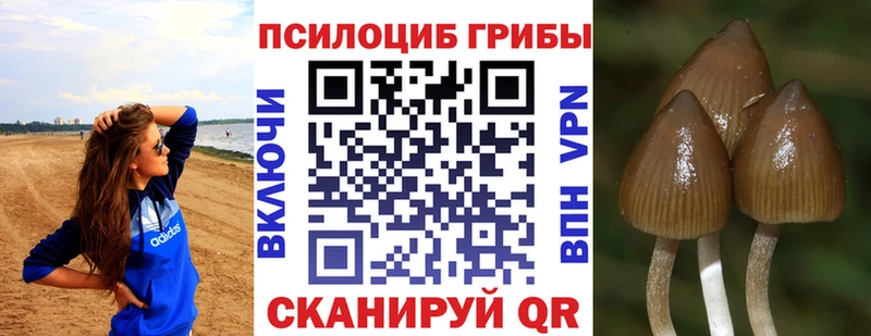 Псилоцибиновые грибы ЛСД  Чебоксары 